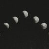 From the Archives: “Can’t Elope” by Miriam Camitta—Discussed by Karina Cheah