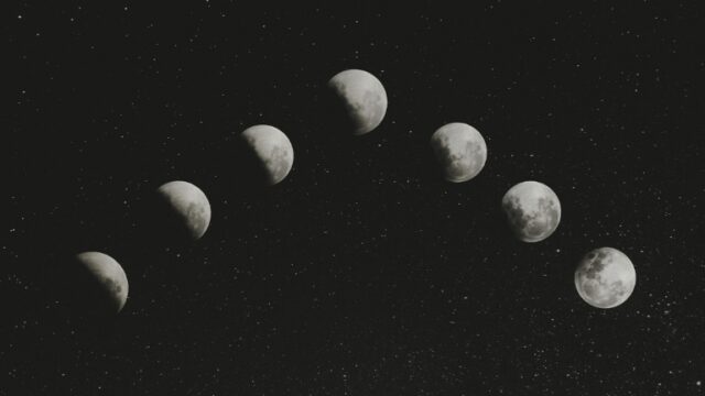 From the Archives: “Can’t Elope” by Miriam Camitta—Discussed by Karina Cheah