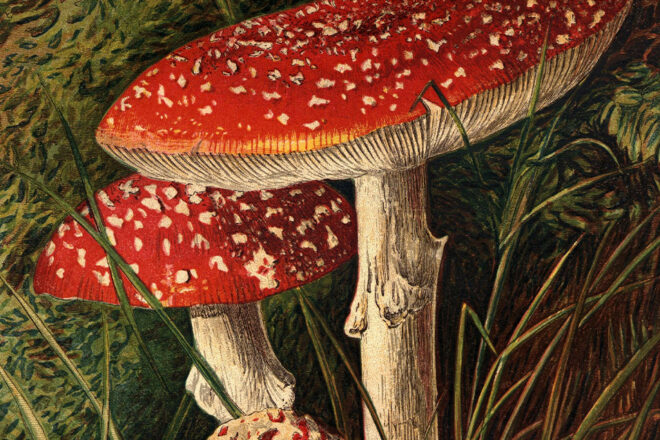 Novel Excerpt Contest: September 1 – November 8, 2026