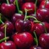 New Voices: “A Town of Cherry Pits” by Pegah Ouji