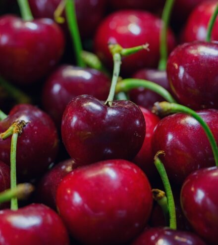 New Voices: “A Town of Cherry Pits” by Pegah Ouji