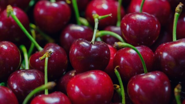 New Voices: “A Town of Cherry Pits” by Pegah Ouji