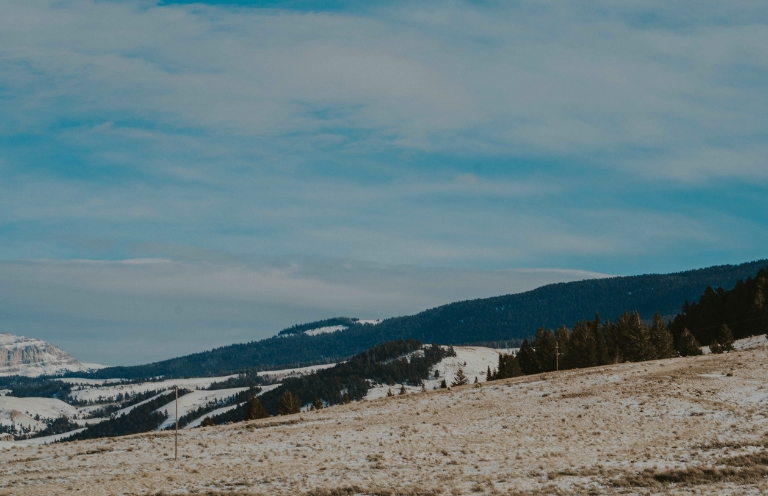 Stories that Teach: “Featherweight” by Sterling HolyWhiteMountain—Discussed by Brandon Williams