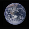 Prize for New Narratives 3rd Place: “Global Environmental Support Hotline” by Deahna Fumarol